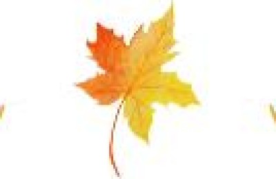 校园的秋天(校园的秋天200字作文)