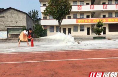 关注安全关爱生命(关注安全关爱生命作文500字)