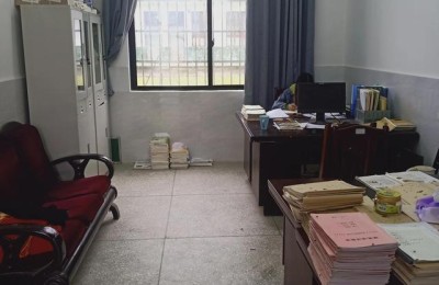 我们的学校(我们的学校作文)