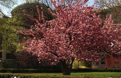 哥伦比亚大学学费(哥伦比亚大学学费一年多少钱啊)