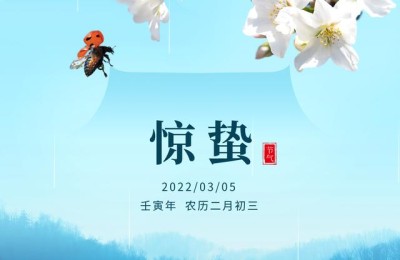 惊蛰唯美句子(关于惊蛰的唯美句子)