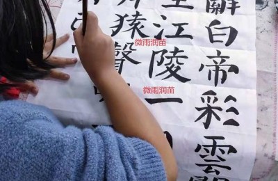 对联大全 春节小学生(虎年对联大全春节小学生)