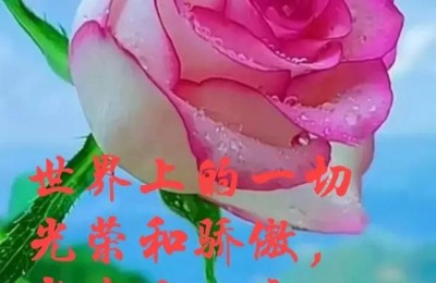 赞美母亲(赞美母亲的诗句)