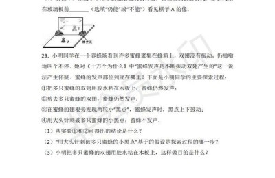 八年级物理期中试卷(八年级物理期中试卷及答案)