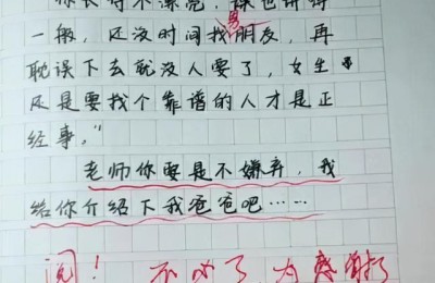 关于父亲的作文(关于父亲的作文800字)