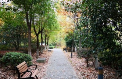 经济类专业大学排名(经济类学校排名)
