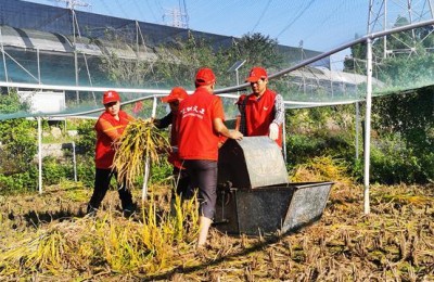 体会爱心(体会爱心阅读理解答案)