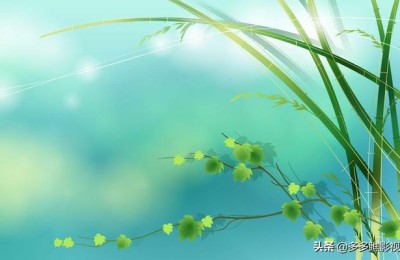 美言美句(美言美句短句)