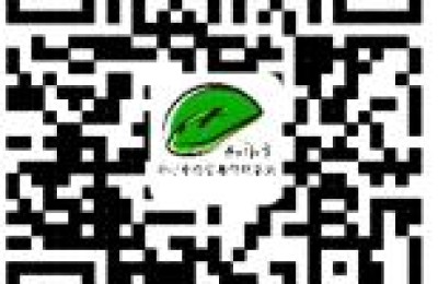 宁波中考分数查询(宁波中考分数查询系统)