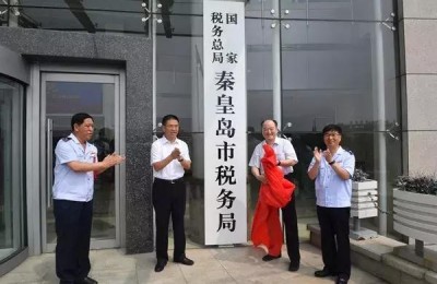 河北国税网上办税服务厅(河北国税网上办税服务厅官网)