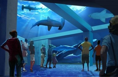 世界上最大的水族馆(世界上最大的水族馆在哪里)
