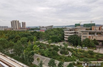 西南科技大学录取分数线(西南科技大学录取分数线2021)