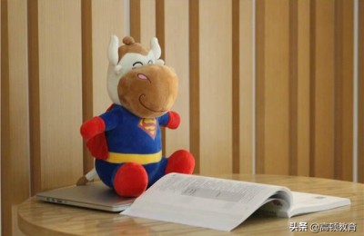 注册会计师有啥要求(注册会计师有什么要求)