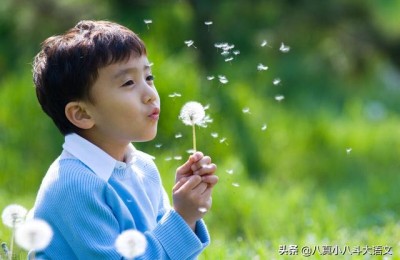 成长的快乐作文(成长的快乐作文500字)