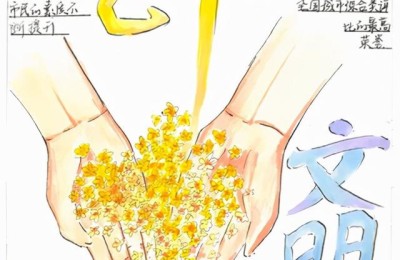 文明手抄报(文明手抄报内容)