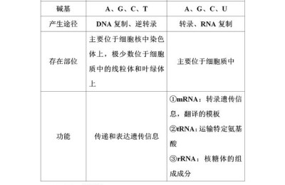 高一生物必修二知识点总结(高一生物必修二知识点总结(人教版))