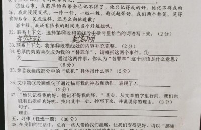 六年级语文毕业试卷(六年级语文毕业试卷及答案)