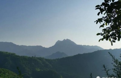注册会计师审计必须依据什么进行(注册会计师审计的依据有)