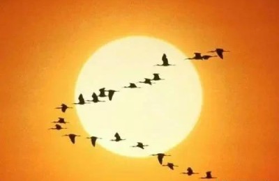 启迪作文(启迪作文600字)