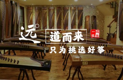 深圳古筝培训(深圳古筝培训班哪家好)