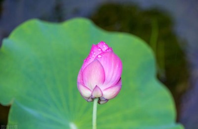 入党个人鉴定(入党个人鉴定表自我鉴定怎么写)