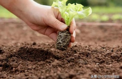 幸福作文600字(幸福作文600字记叙文)