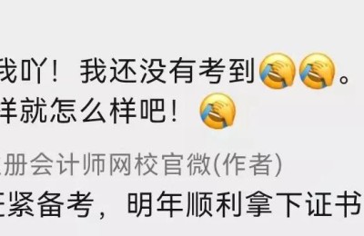 注册会计师有必要做财务吗(注册会计师可以做会计吗)