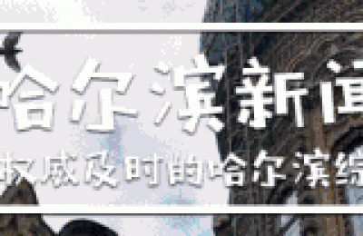 黑龙江国税发票查询(黑龙江国税发票查询系统)