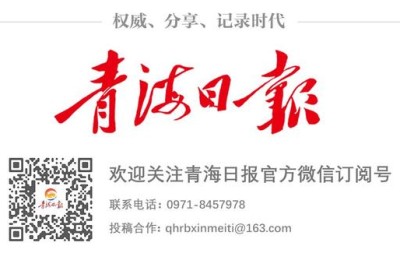 青海省人事考试信息网(青海省考试信息网官网)
