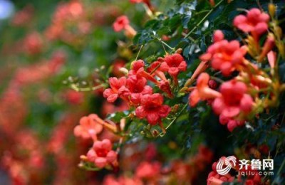 浙江教育考试网查询(浙江教育考试网查询成绩)