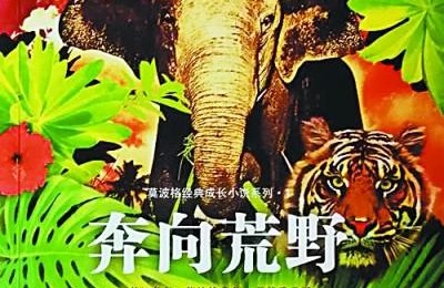根鸟读后感(根鸟读后感100字)