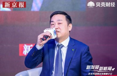 中国注册会计师王进(注册会计师王明)