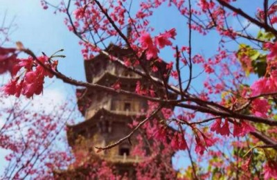 五一节祝福的话语(五一节祝福的话语顾客)