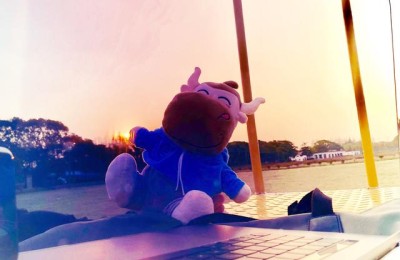 注册会计师会计太烧脑了(注册会计师考试太难了)