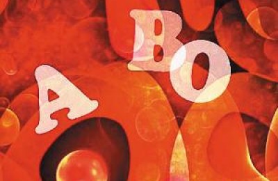 性格解析(性格解析江雅苓)