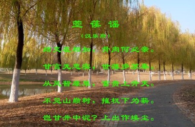 箜篌谣(箜篌谣李白)