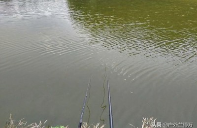 钓鱼攻略(钓鱼攻略1-375路线)