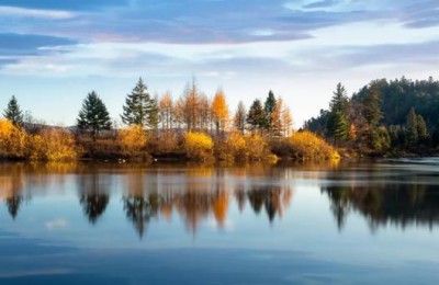 表达思乡之情的诗句(表达思乡之情的诗句有哪些)