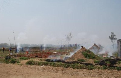 清明节笑话(清明节笑话段子)