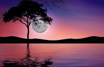 高考工厂(高考工厂模拟器)