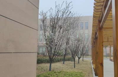 2021高考成绩(2021高考成绩查询系统入口)