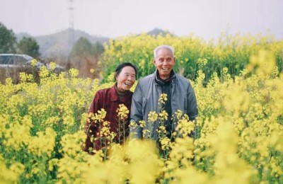 生态农业可行性报告(生态农庄可行性分析报告)