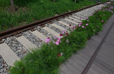 景观设计二级建造师属于哪一类啊(景观专业考二级建造师)