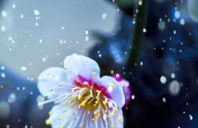 爱情祝福短信(爱情祝福短信最温馨的话)