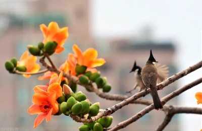 四月简短美句(四月简短美句,适合发朋友圈的)