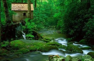 适合小学四年级读的现代诗(适合小学四年级读的现代诗歌)