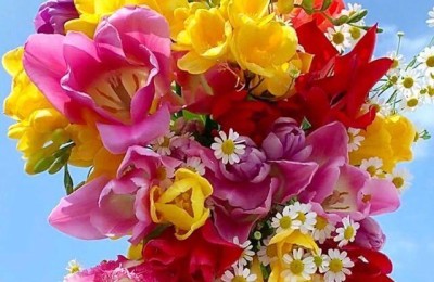 2022年虎年祝福贺词四字(2022年虎年祝福贺词四字带虎字)