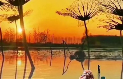 20年后的自己(20年后的自己作文)