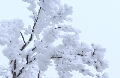 关于雪的句子(关于雪的句子优美段落)