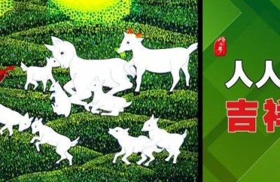 青海省考试信息网官网(青海省考试信息网官网二级建造师)